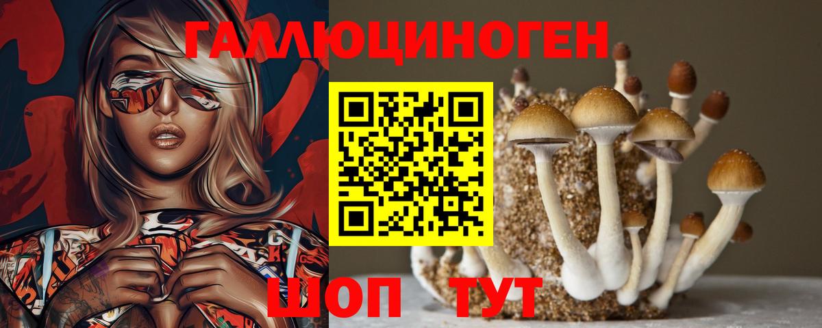 Псилоцибиновые грибы MAGIC MUSHROOMS  где продают наркотики  Ишимбай  Вход с VPN 