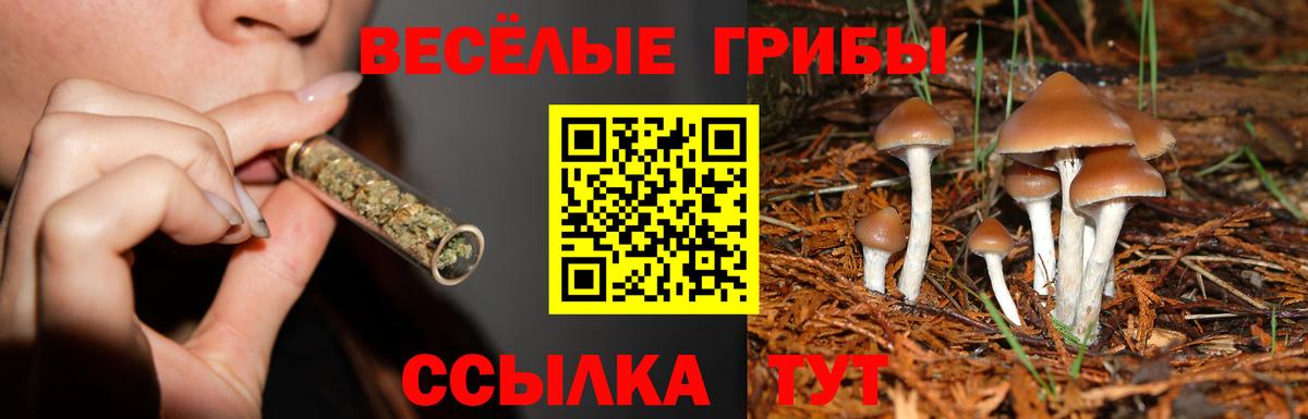 Галлюциногенные грибы мицелий Ишимбай